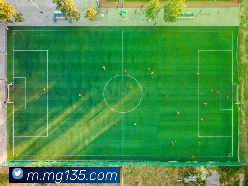 MG娱乐平台官网平台生态图